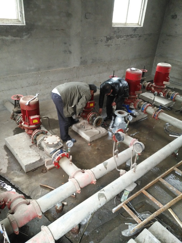 1-2202251P414L8.jpg